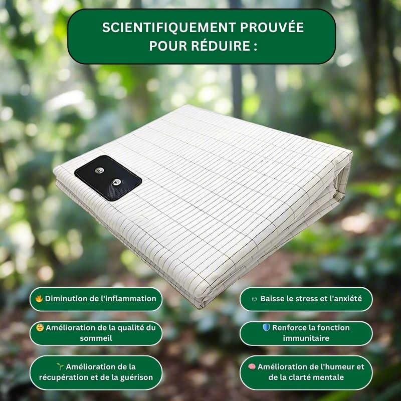 Drapy™ - La solution innovante « Plus d'insomnies » pour des matins sans douleur en 5 nuits seulement - Faramys - 